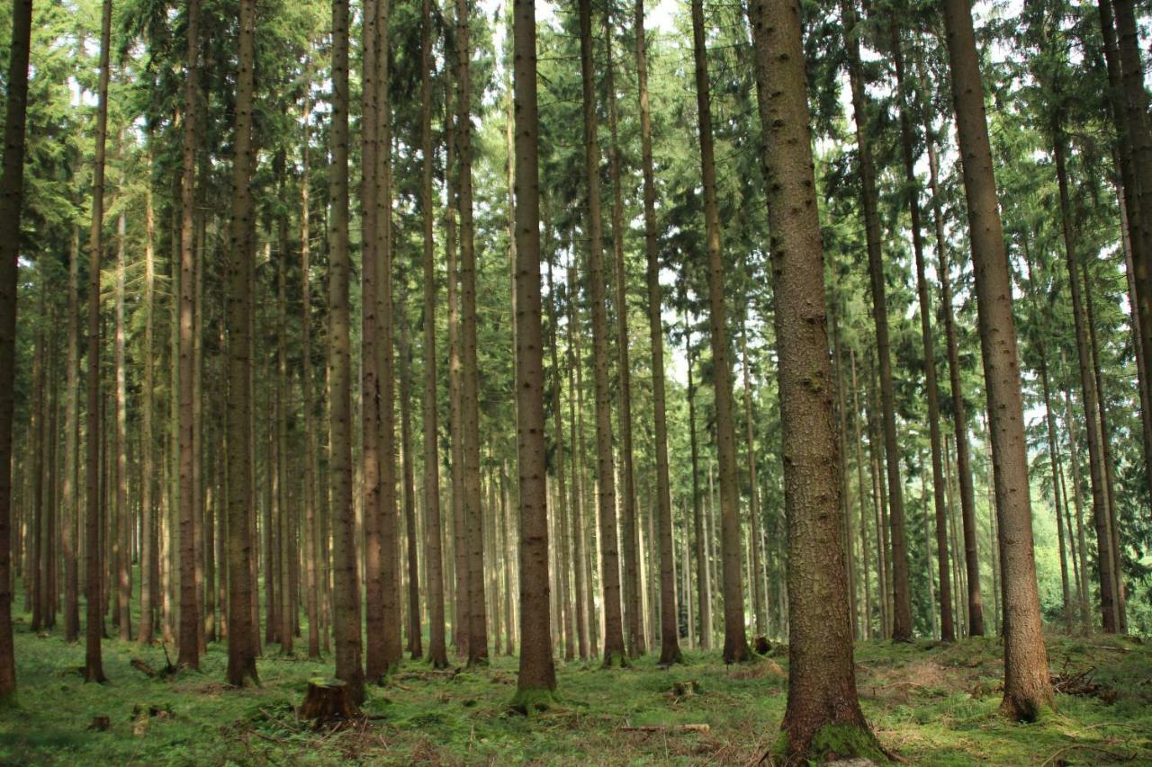 Ferienhaus "Gestiefelter Kater" Am See Im Bergland Kirchheim  Eksteriør billede